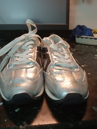 Zapatillas plateadas