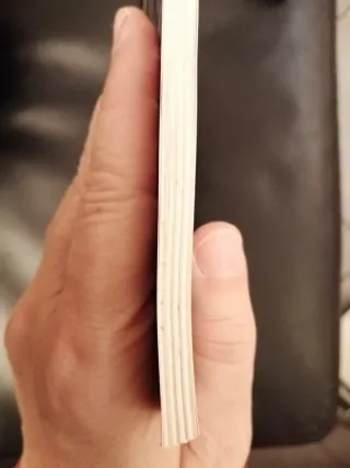 Immagini della Lombardia: pittura e decorazioni..