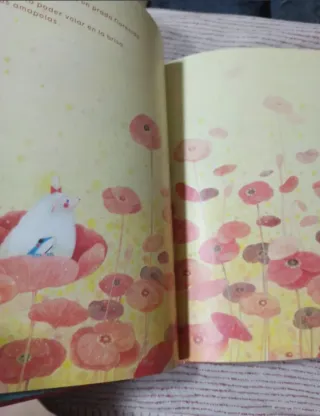 El viaje de Pipo álbum ilustrado