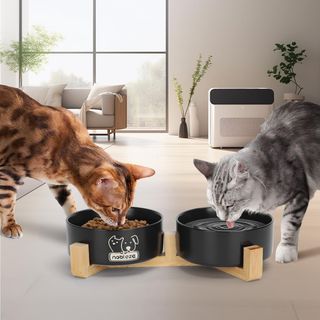 Nobleza Mangiatoia per gatti e cani 1800 ml