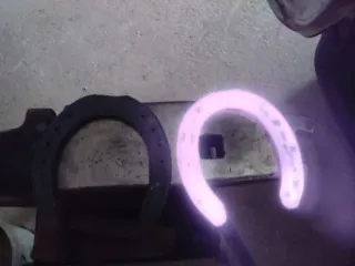 Herrador de caballos Ciudad Real.