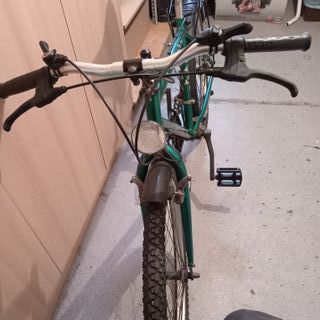 Bicicleta Foehn Verde 24