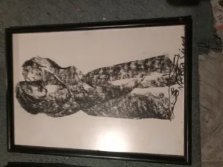 Coppia di quadri in bianco e nero