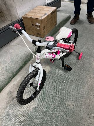 Bicicleta niña DTB Fun 160