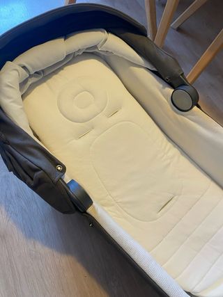 Carro Inglesina Aptica XT