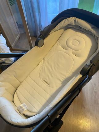 Carro Inglesina Aptica XT