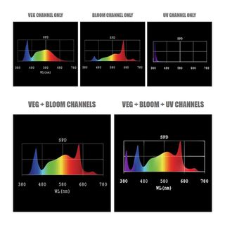 LED 1000W VS3 10 BARRAS HELLION ADJUST-A-WINGS
