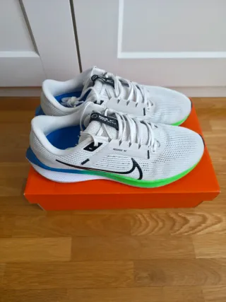 Nike Pegasus 40 Zapatillas Running Hombre