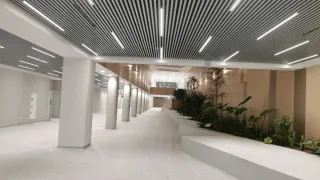 Se realizan paredes y techos de pladur