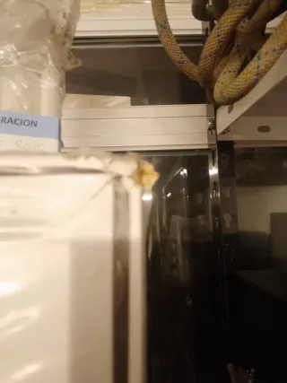 Puerta Denver Gold Blanca