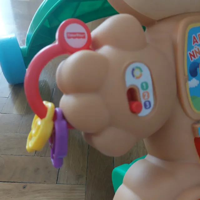 Correpasillos Andador MUSICAL Fisher Price Perro