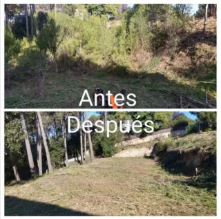 Limpieza de parcelas