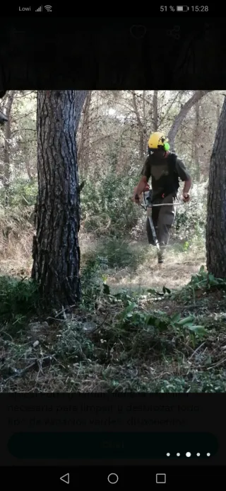 Limpieza de parcelas poda de árboles desbroces