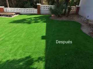 Servicio de jardinería y césped artificial