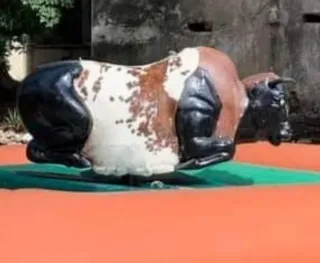 Bufalo Mecánico Inflable