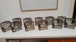 Jaulas de percha de madera