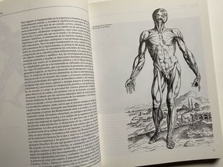 El dibujo anatòmico a su alcance