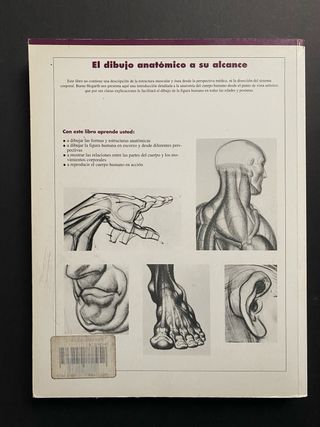 El dibujo anatòmico a su alcance