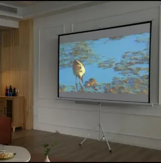 Pantalla de proyección portátil