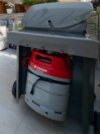 Barbacoa Gas Weber Genesis II E-310