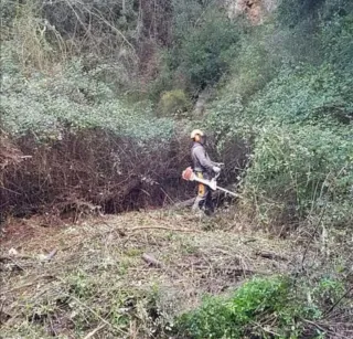 Servicios de jardinería y mantenimiento