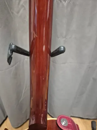 Guitarra Eléctrica Vintage AFD100