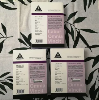 Temario Técnicos Auxiliares Informática (Adams)