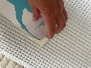 Libro el principe destronado