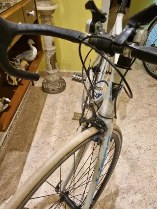 Bicicleta de carretera profesional italiana Schian