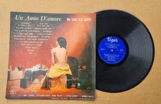 Un Anno D'amore LP 33 Giri Tiger Records