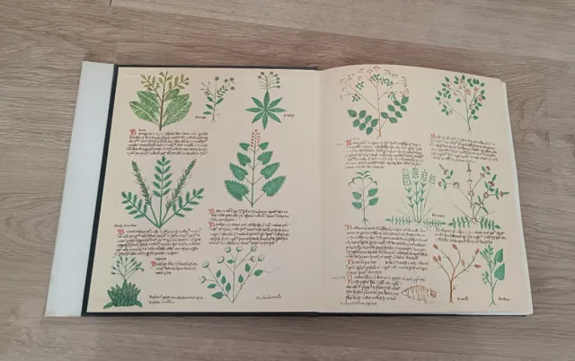 TERTULIA DE BOTICAS PRODIGIOSAS, ÁLVARO CUNQUEIRO