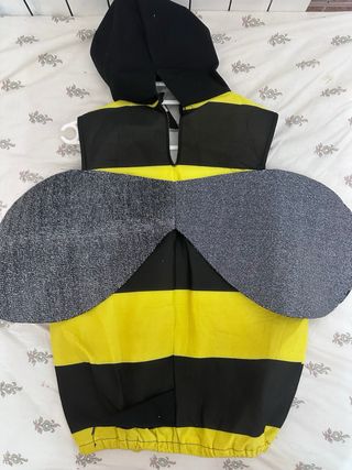 Lote libros infantiles y 2 disfraces 4-6 años