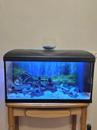 URGE Acuario 100L Decorado