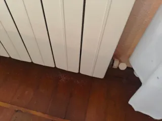 Radiadores de calefacción color blanco