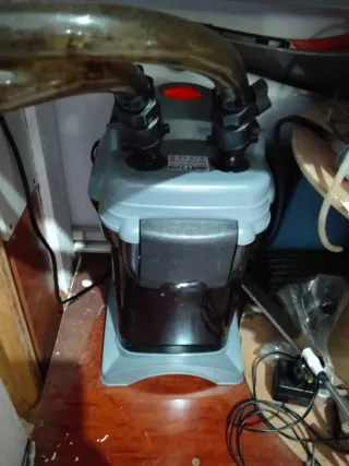 Acuario completo plantas