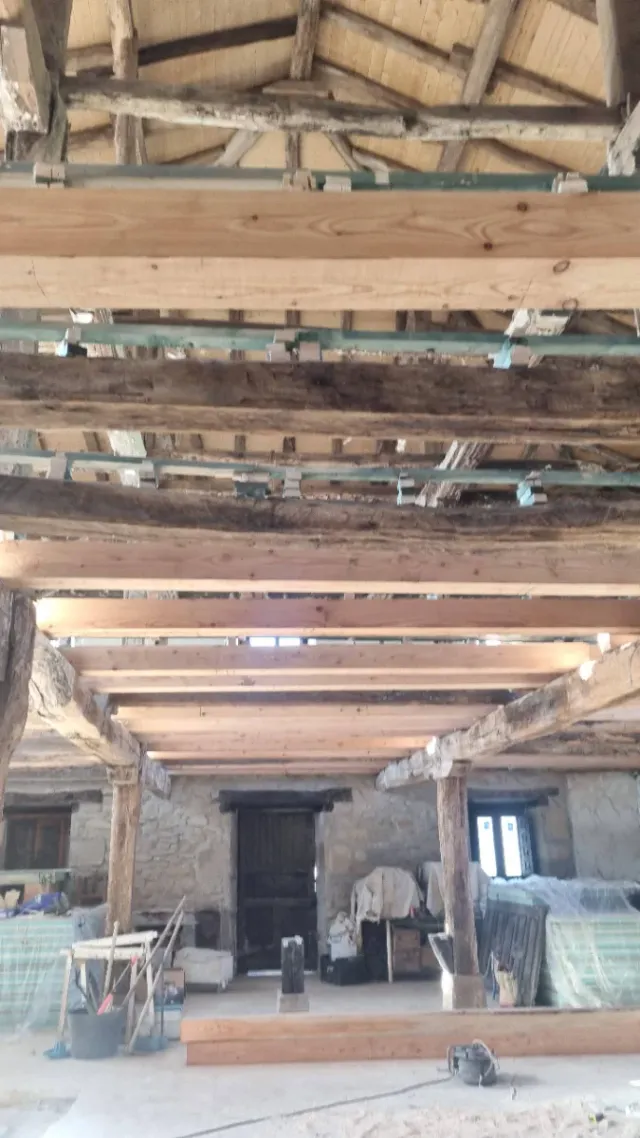 Proyectos de madera: casas, caseríos, lonjas