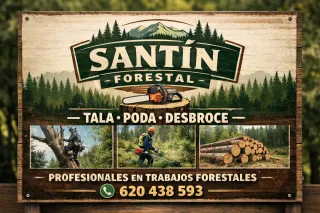 Trabajos forestales
