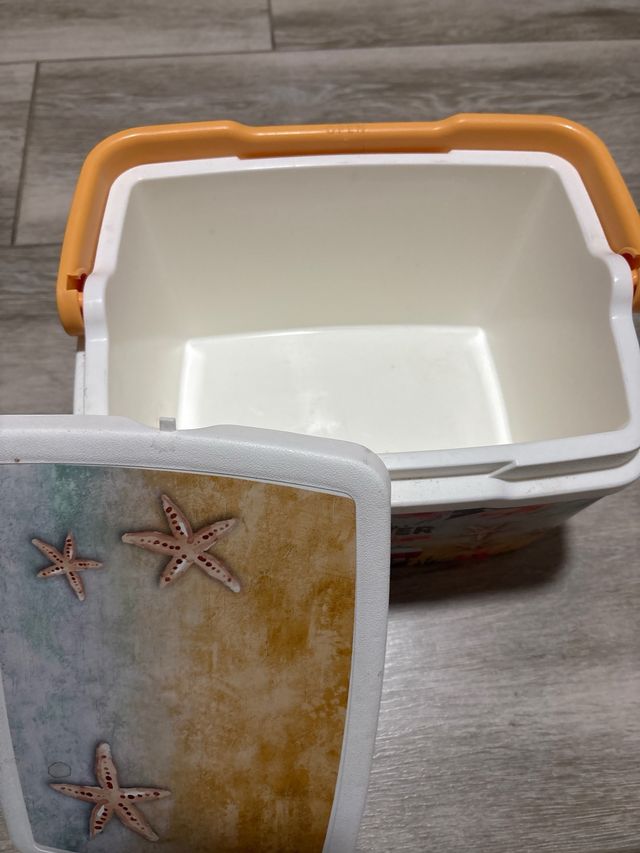 Nevera pequeña de playa