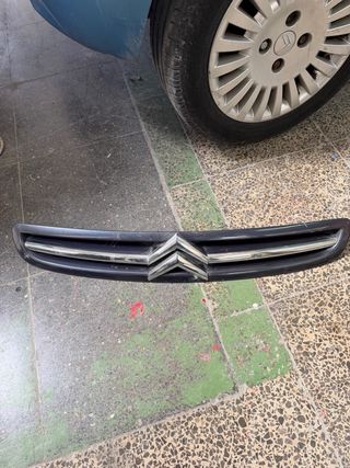 Rejilla Delantera Citroen Xsara Picasso