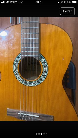 Guitarra Española SGN-450 Sonora