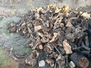 Se vende leña a domicilio a 13 euros el carro leña