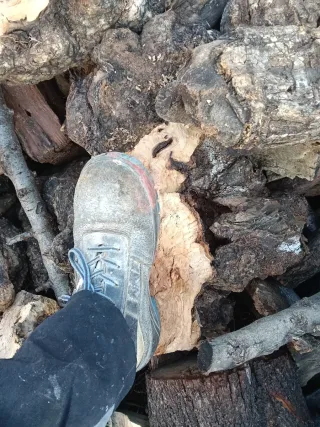 Se vende leña a domicilio a 13 euros el carro leña