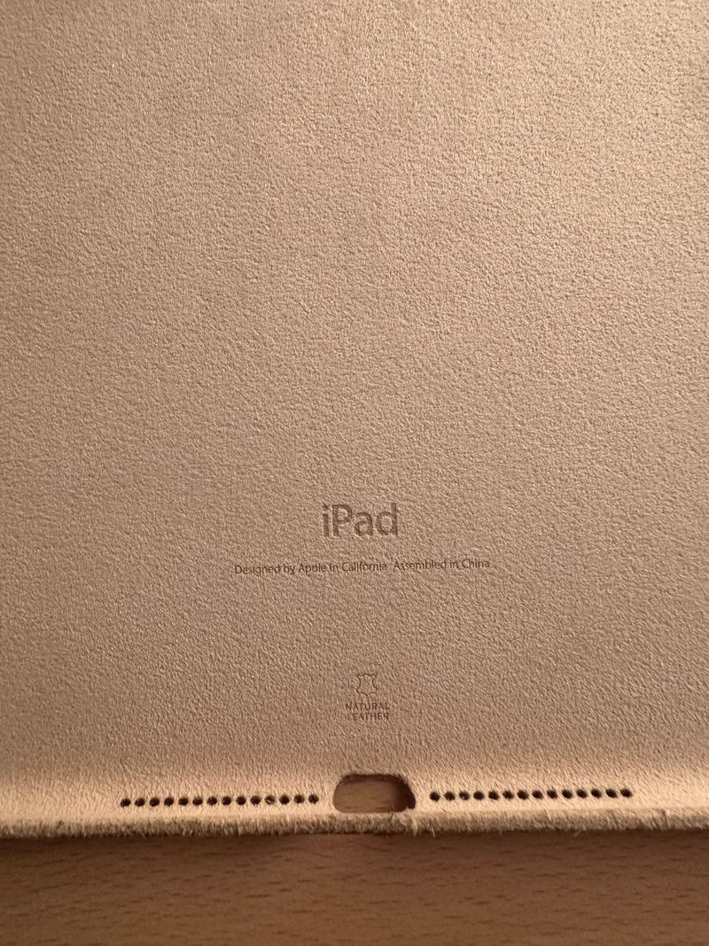 iPad Air 2 16GB Wi-Fi + Cellular + Funda afbeelding 8