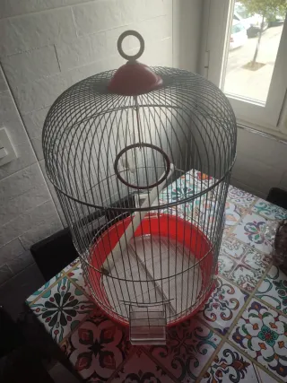 Jaula para pájaros plateada y roja