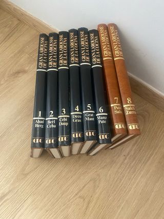 Gran Larousse de la Cocina Vol. 6º