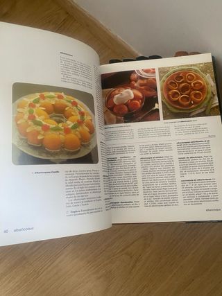 Gran Larousse de la Cocina Vol. 6º