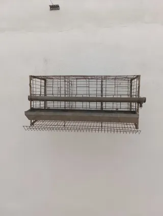 Jaula para 6 gallinas con comedero