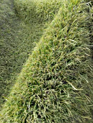 Césped artificial reciclado