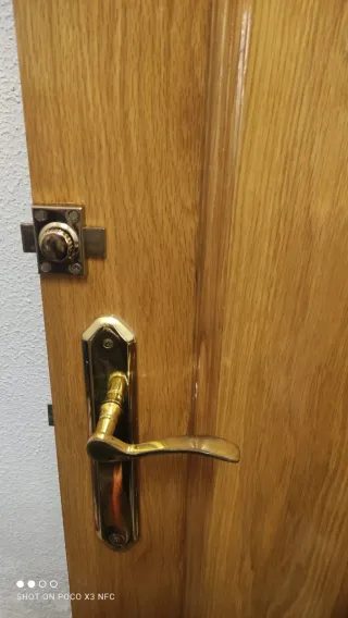 Puerta interior de madera