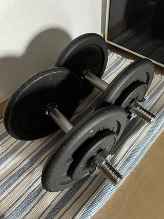 Mancuernas 12.5 kg (par)